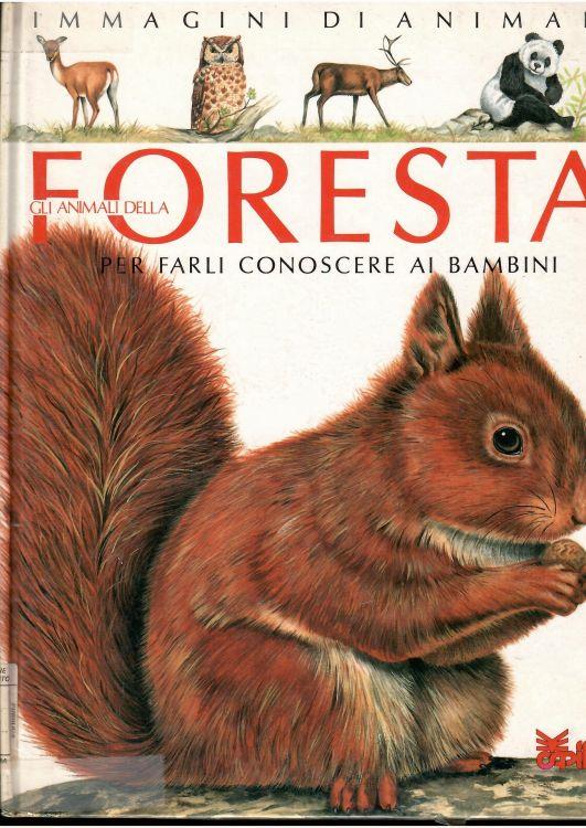 Libroteka di Fattoretti Silvia