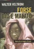 Forse Dio E&Rsquo Malato. Diario Di Un Viaggio In Africa