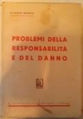 Problemi della responsabilità e del danno