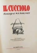 Il Cucciolo - Marjorie K. Rawlings - copertina