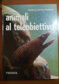 Libreria Libr'aria