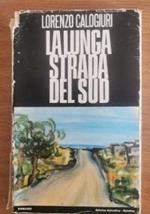 La lunga strada del sud di Lorenzo Calogiuri