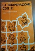 LA Cooperazione Cos’È