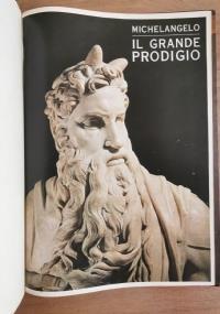 Michelangelo il grande prodigio - copertina