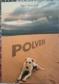 Polvere - Marco Boschini - copertina