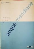 Acque meridiane - Dario Bartolini - copertina