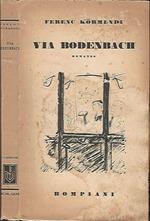 Via Bodenbach