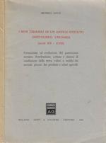 I beni terrieri di un antico istituto ospedaliero veronese (secoliXII-XVIII)