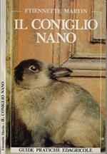 Il coniglio nano