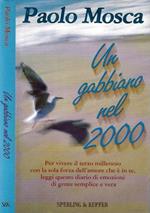 Un gabbiano del 2000