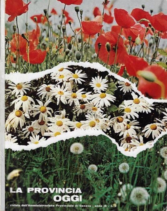 La provincia oggi anno IX n. 2 - Edilio Pesce - copertina