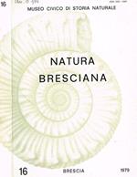Natura bresciana n.16, 1979