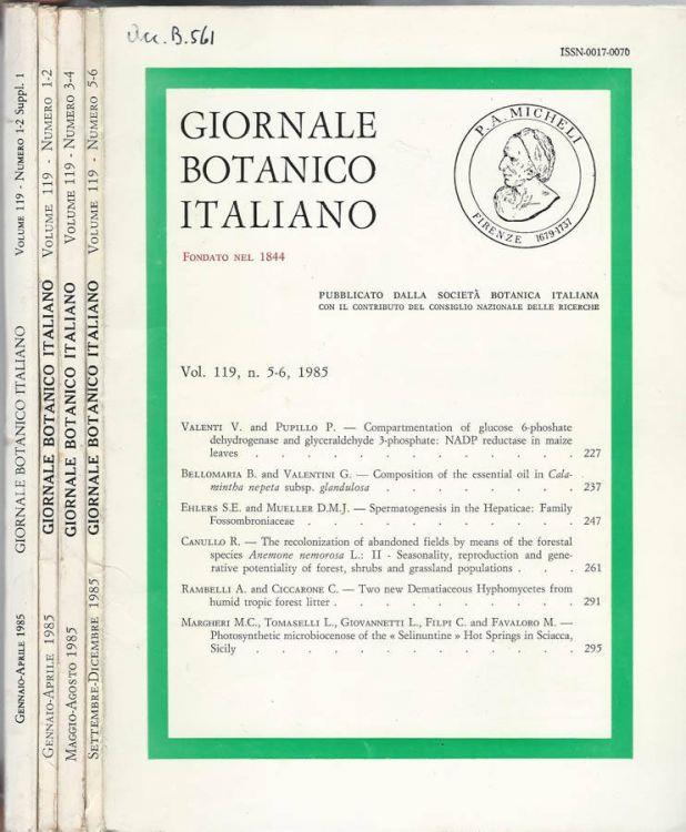 Biblioteca di Babele