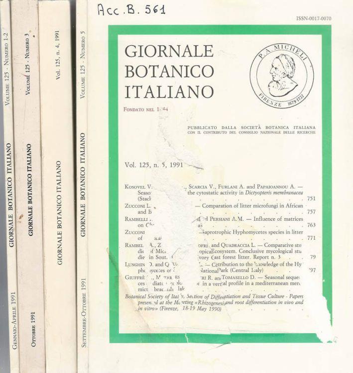 Biblioteca di Babele