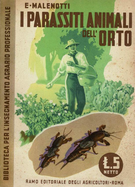 Biblioteca di Babele