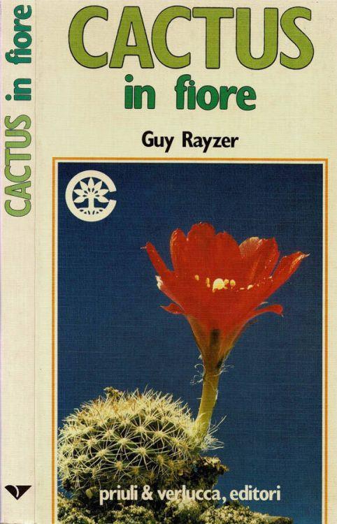 Cactus in fiore - copertina