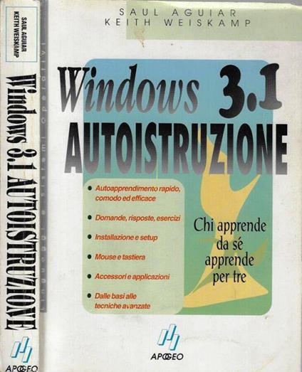 Windows 3.1 autoistruzione - copertina