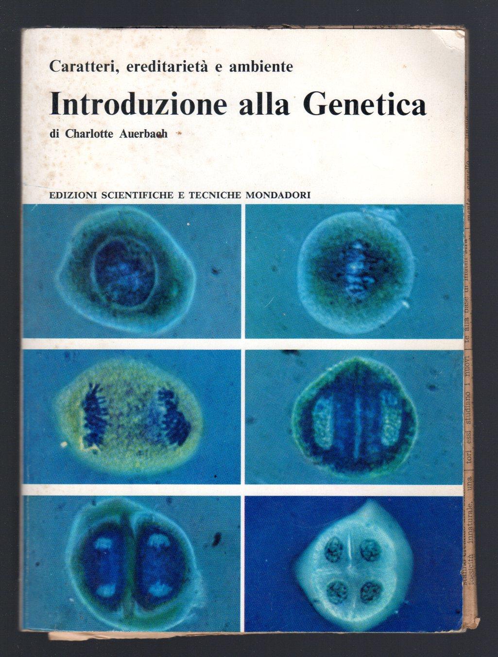 Libreria Trippini Sergio