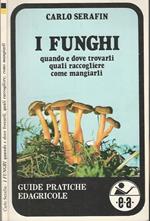 I funghi. quando e dove trovarli come mangiarli