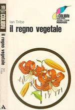 Il regno vegetale