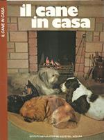 Il cane in casa