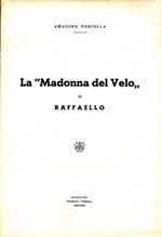 La Madonna del Velo di Raffaello