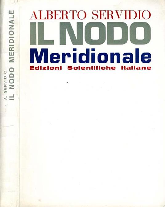 Il Nodo Meridionale - Alberto Servidio - copertina