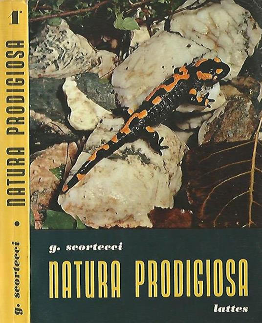 Natura Prodigiosa. corso di storia naturale per le scuole superiori, zoologia e botanica descrittiva - Giuseppe Scortecci - copertina