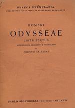 Odysseae Liber Sextus