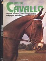 Amico cavallo