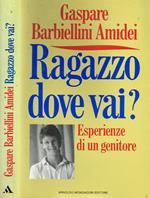Ragazzo, dove vai? Esperienze di un genitore