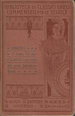 Il libro VI dell'Iliade