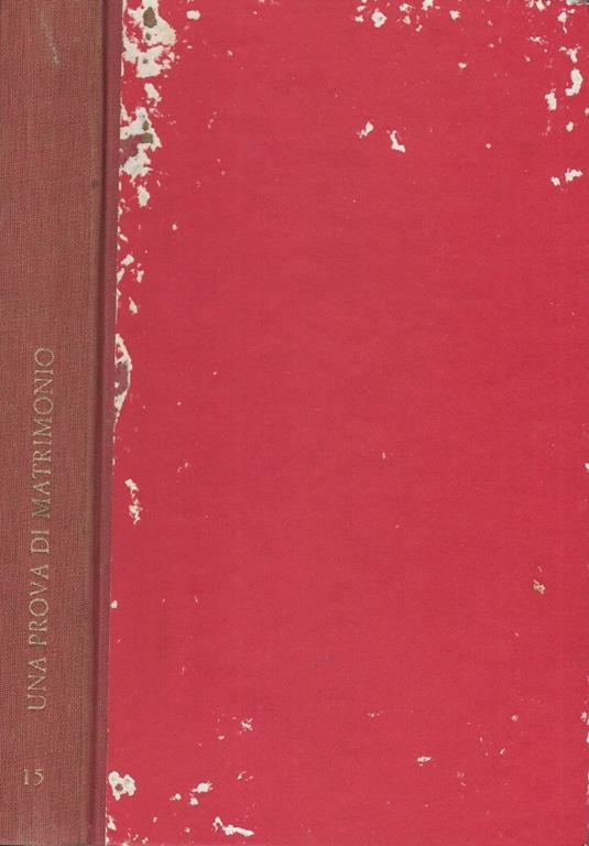 Una prova di Matrimonio. Medici e Gonzaga - copertina