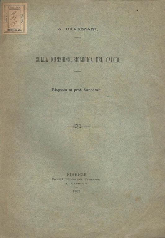 Biblioteca di Babele