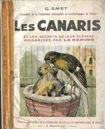 Les canaris. et les secrets de leur élevage
