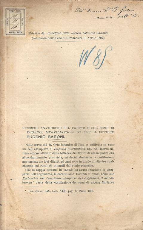 Biblioteca di Babele