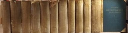Grande dizionario enciclopedico Vol. I. II. III. IV. V. VI. VII. VIII. IX. X e Supplemento - Giovanni Trucco - copertina