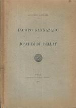 Iacopo Sannazaro e Joachim Du Bellay