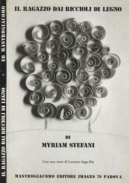 Il ragazzo dai riccioli di legno - Myriam Stefani - copertina