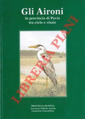 Gli Aironi in provincia di Pavia tra cielo e risaie - copertina