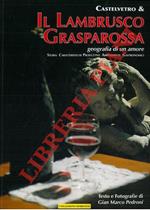 Castelvetro & il Lambrusco Grasparossa. Geografia di un amore. Storia, caratteristiche produttive, abbinamenti gastronomici