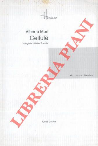 Libreria Piani