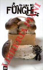 Funghi
