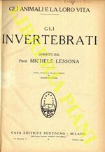 Gli invertebrati. (Insetti, molluschi, ecc.)