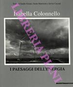 I paesaggi dell'energia. Ediz. italiana e inglese