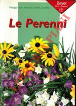 Le Perenni (erbacee)