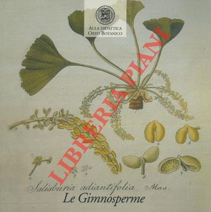 Le Piante dell'Orto Botanico. Le Gimnosperme - copertina