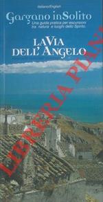 La via dell'Angelo. Itinerario culturale europeo. The Angel's Way