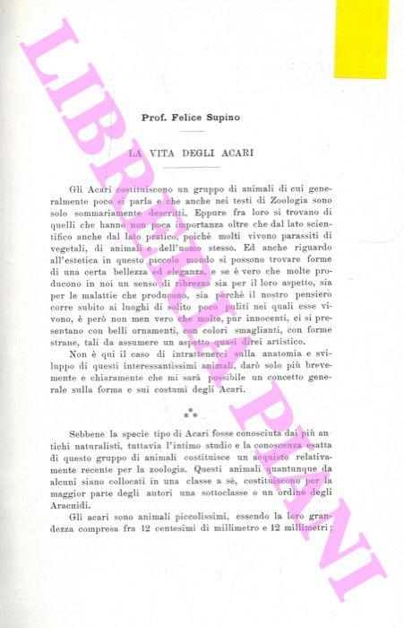 Libreria Piani