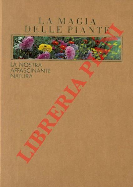 La magia delle piante. La nostra affascinante natura - Giuseppe Brunamontini - copertina